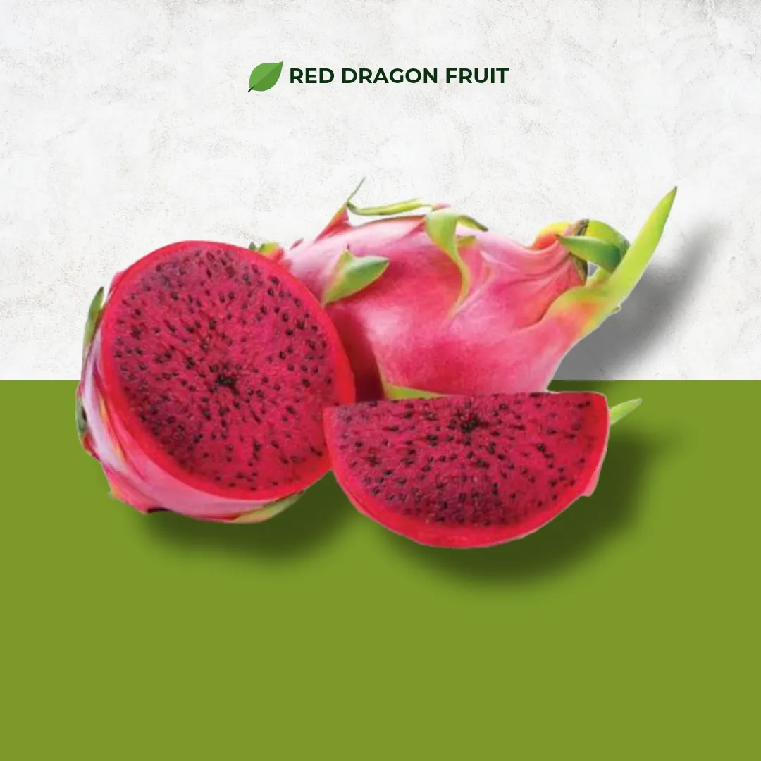what is dragon fruit- how to cut and eat 1 dragon fruit origin